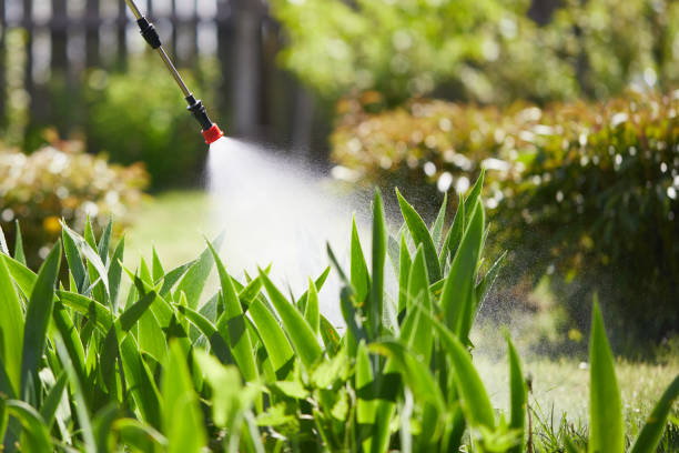 24/7 Emergency Wasp Removal experts in Poydras, LA