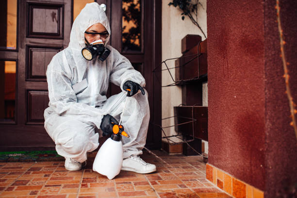 Reliable Wasp Removal contractor in Poydras, LA by Show Me Pest Control